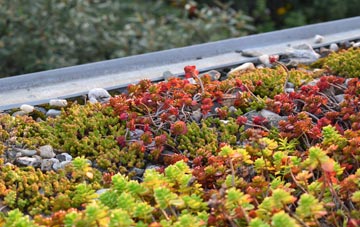 the cost of Kingshall Street green roof installation