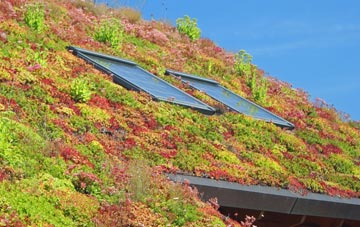 Kingshall Street living roof systems